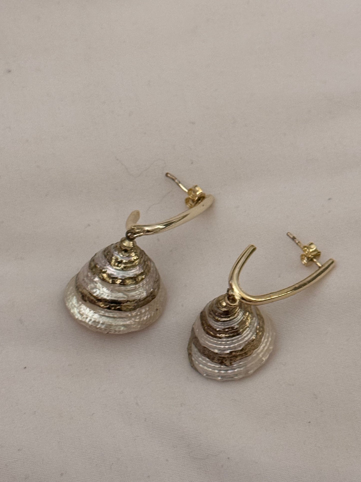 Shells earring