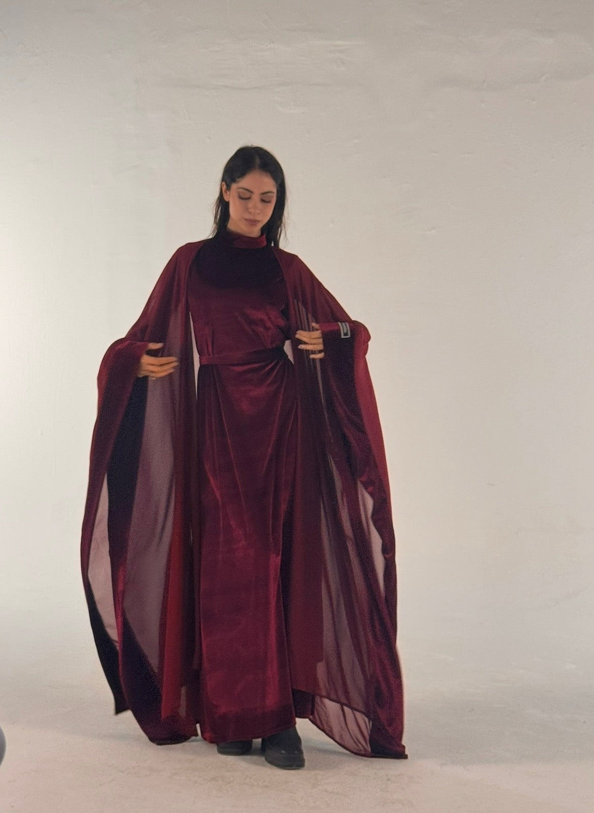 Butterfly velvet dress with chiffon set