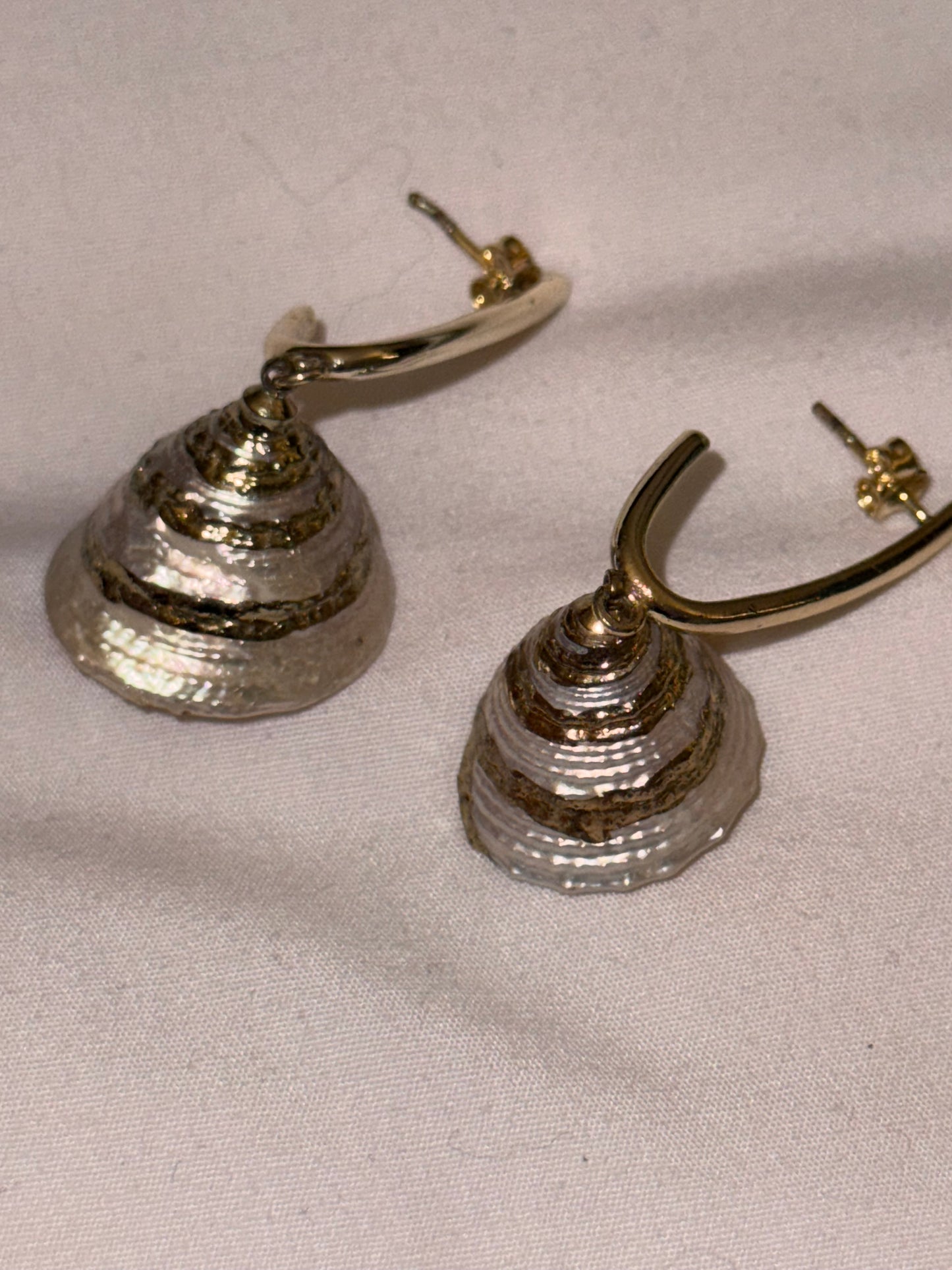Shells earring