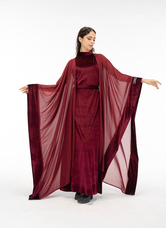 Butterfly velvet dress with chiffon set