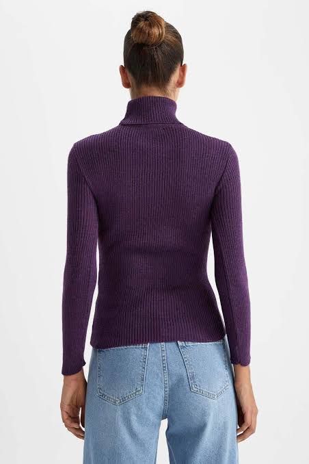 Turtle neck slim sweater