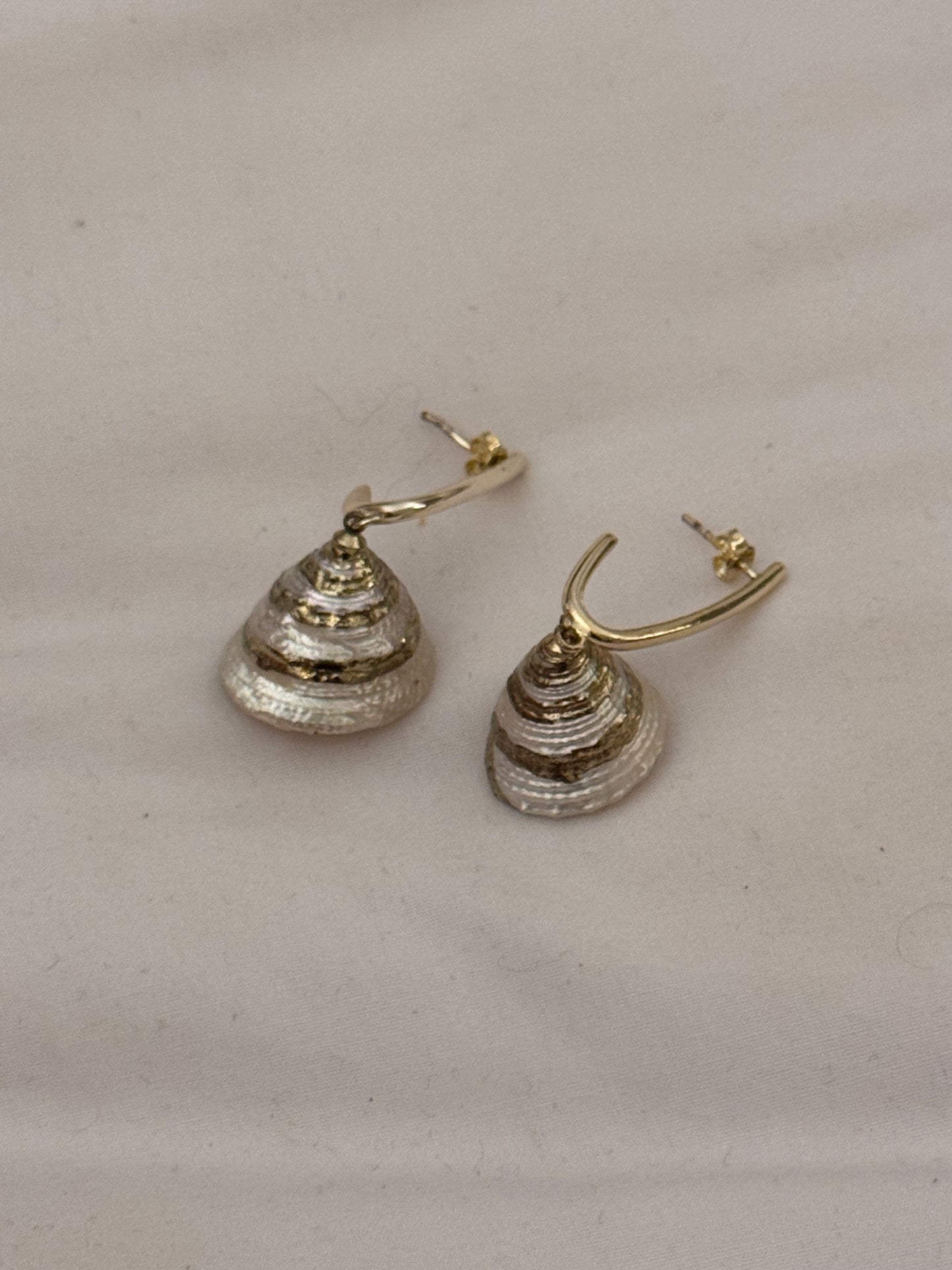 Shells earring